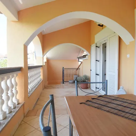 Suitable Summer פולה