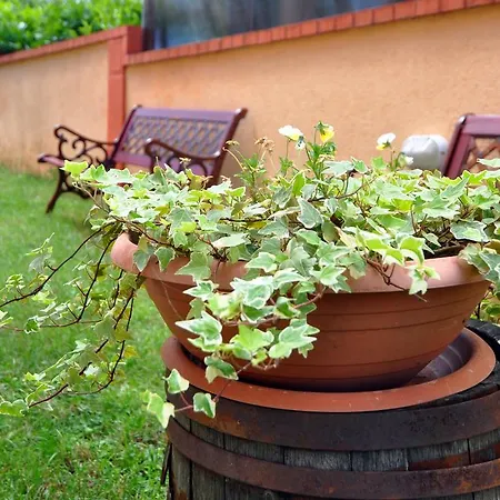 Apartment Suitable Summer Pula