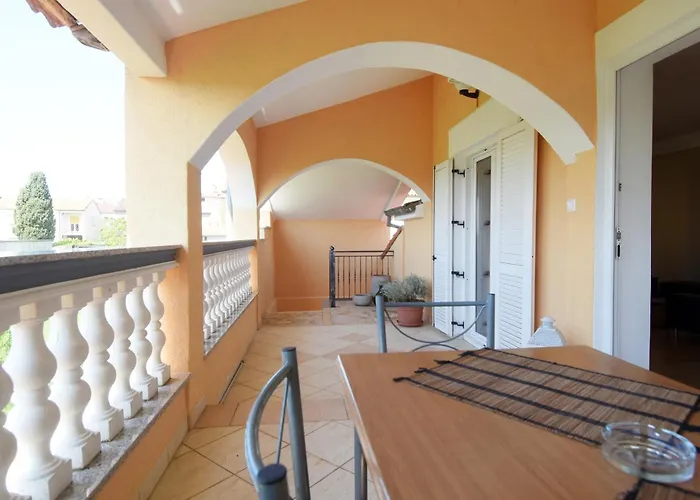 Suitable Summer Pula