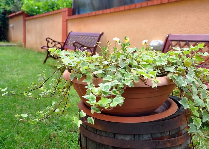 דירה Suitable Summer פולה